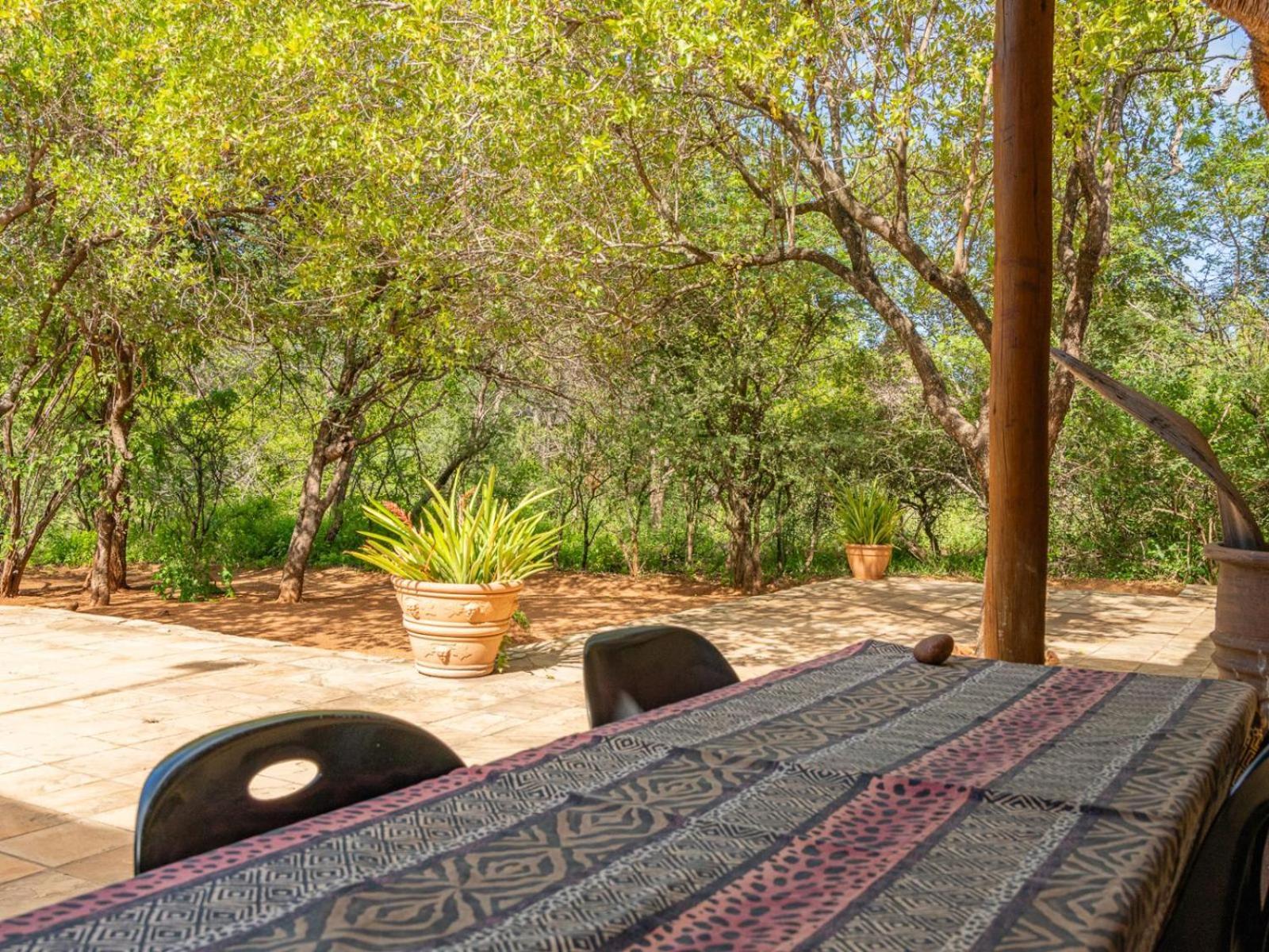 הודספרויט Impala Cottage מראה חיצוני תמונה