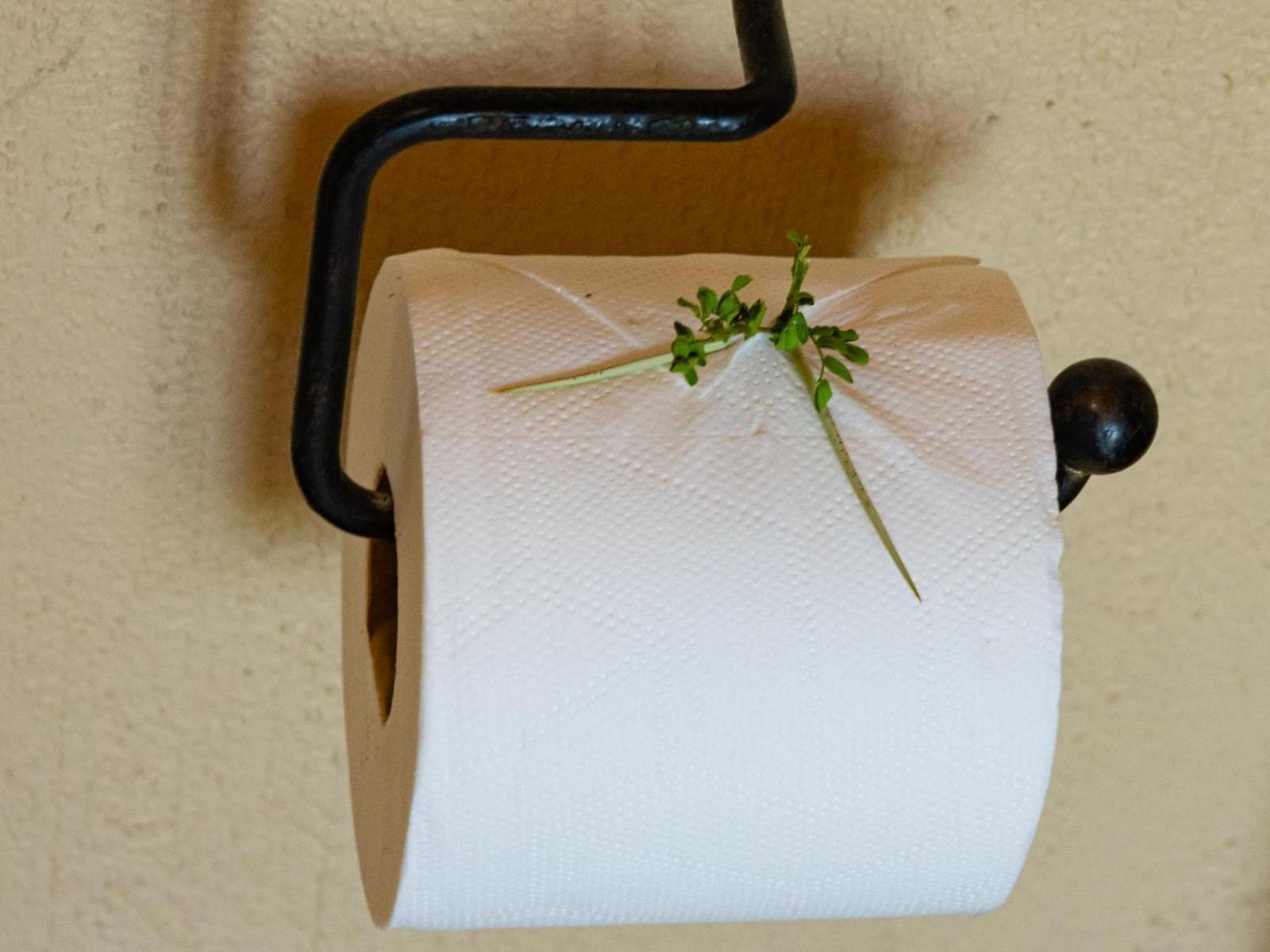 הודספרויט Impala Cottage מראה חיצוני תמונה